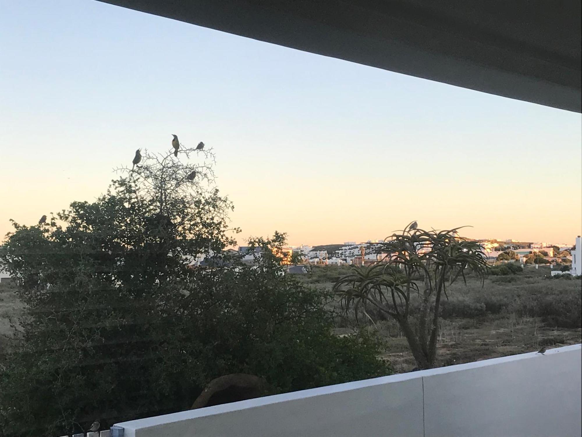 Perfect 10 - 10 To 13 Sleeper Luxury Holiday Home Breakage Deposit Of R2500 Per Weekend Lease Langebaan Eksteriør billede