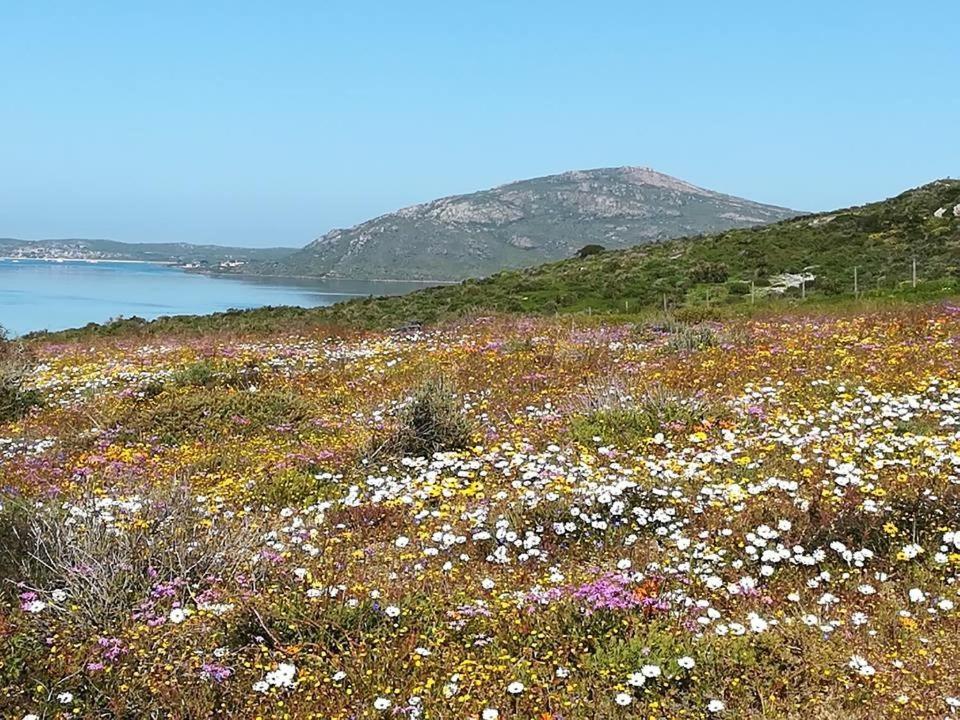 Perfect 10 - 10 To 13 Sleeper Luxury Holiday Home Breakage Deposit Of R2500 Per Weekend Lease Langebaan Eksteriør billede